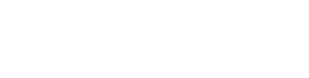 Instituto Bendizer