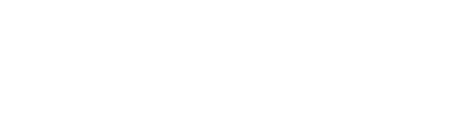 Instituto Bendizer